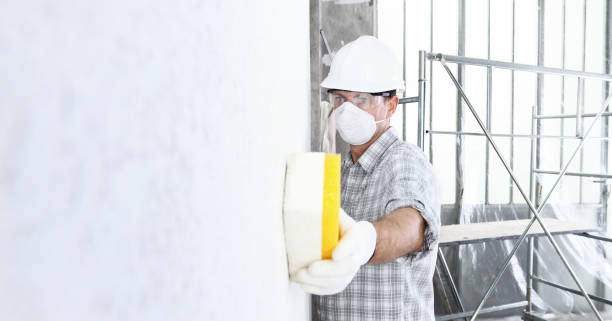 Best Mold Remediation for Healthcare Facilities  in Van, TX