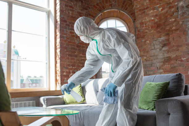 Mold Remediation for Vacation Homes in Van, TX