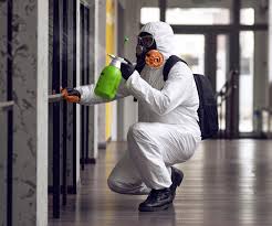 Best Asbestos and Lead Testing During Mold Inspection  in Van, TX